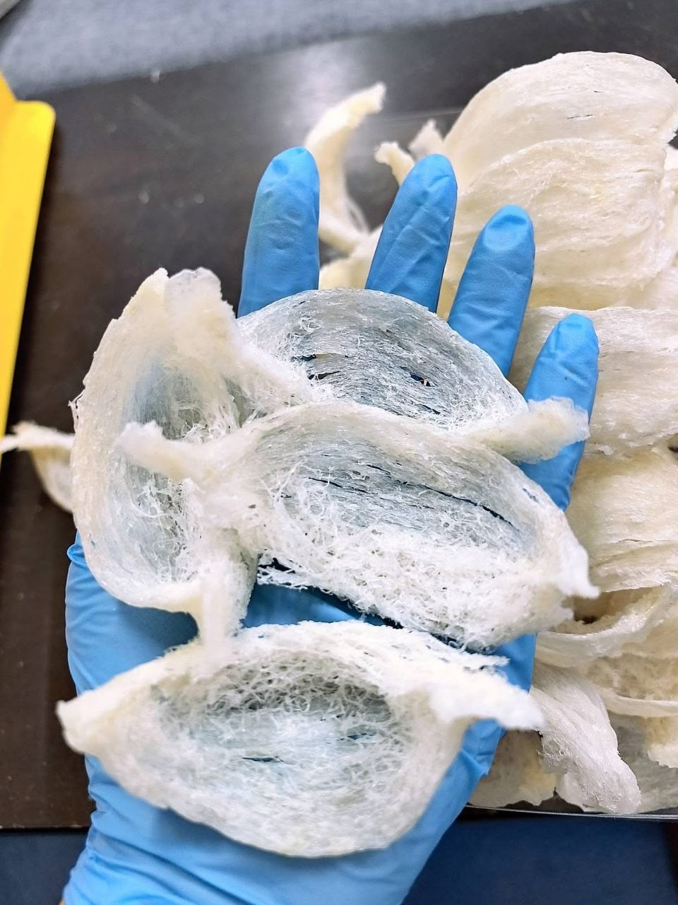Manual Quality Inspection